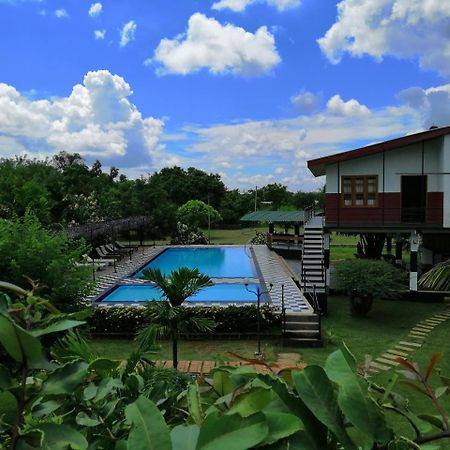 Eco Hotel Black & White - Anuradhapura Mihintale Kültér fotó