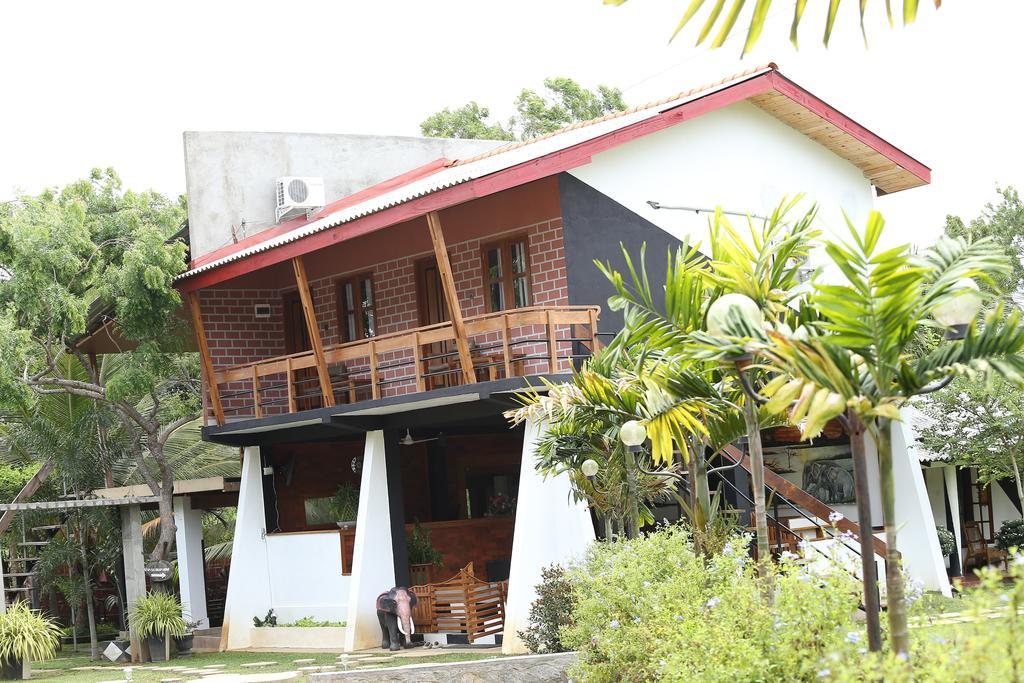 Eco Hotel Black & White - Anuradhapura Mihintale Kültér fotó